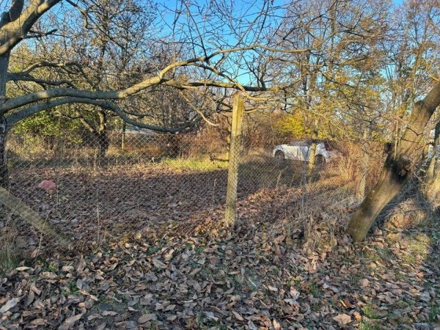 Eladó mezogazdasagi ingatlan, Szegeden 13.9 M Ft