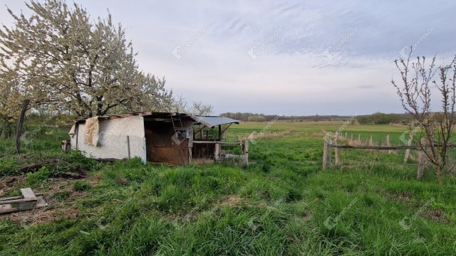 Eladó családi ház, Csépen 14.9 M Ft, 1 szobás