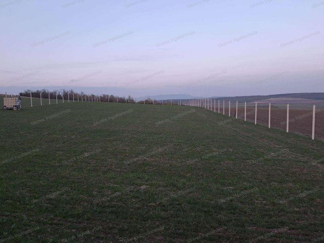 Eladó mezogazdasagi ingatlan, Szomoron 7 M Ft