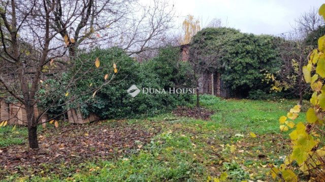 Eladó családi ház, Villányban 45 M Ft, 4 szobás