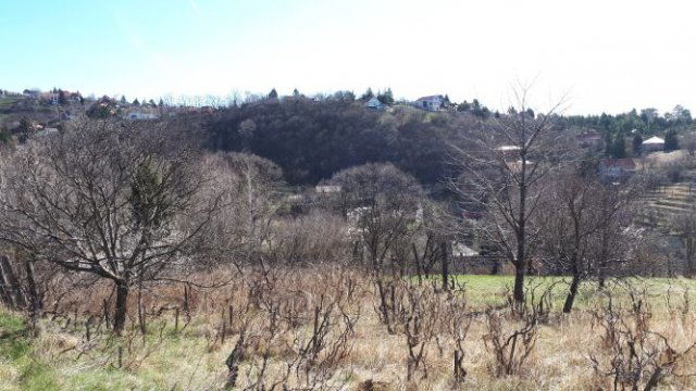 Eladó családi ház, Pécsett, Fábián Béla utcában 17 M Ft
