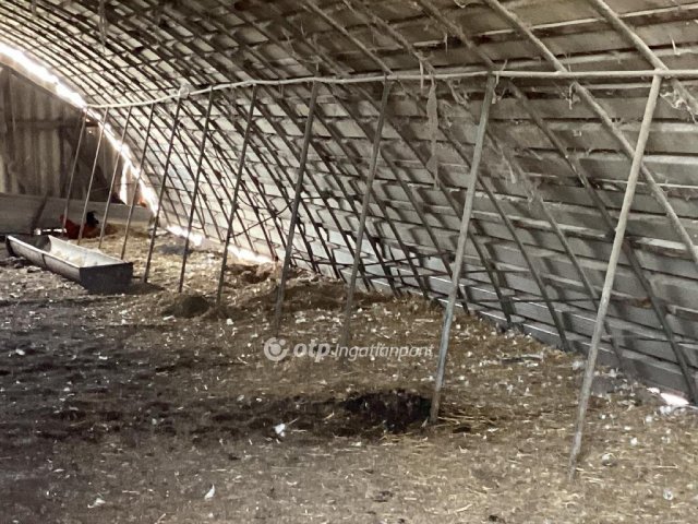 Eladó mezogazdasagi ingatlan, Gyomaendrődön 55 M Ft
