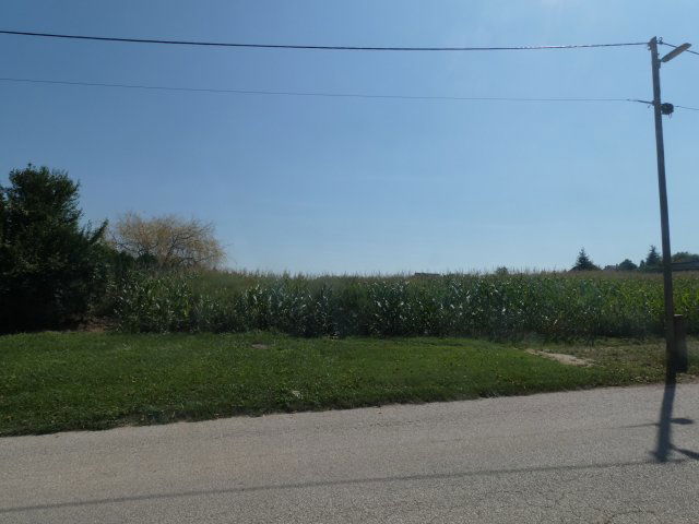 Eladó telek, Tordason 39 M Ft / költözzbe.hu