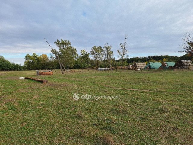 Eladó mezogazdasagi ingatlan, Kunmadarason 29.99 M Ft