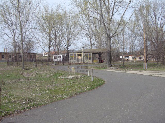 Eladó ipari ingatlan, Bácsszőlősön 95 M Ft