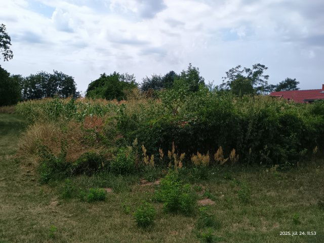 Eladó telek, Buzsákon 18 M Ft / költözzbe.hu