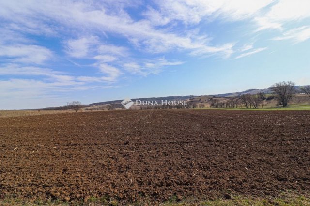 Eladó telek, Csabdiban 109 M Ft / költözzbe.hu