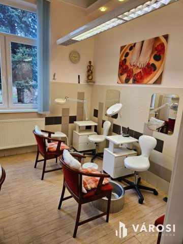 Eladó üzlethelyiség, Debrecenben 299 M Ft, 9 szobás