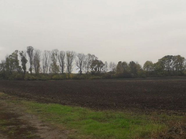 Eladó telek, Heréden 10 M Ft / költözzbe.hu