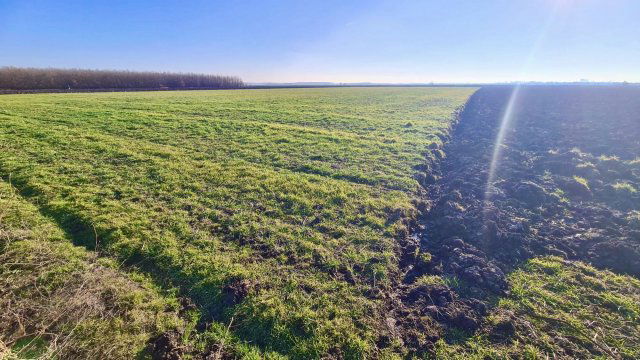 Eladó mezogazdasagi ingatlan, Szolnokon 4 M Ft