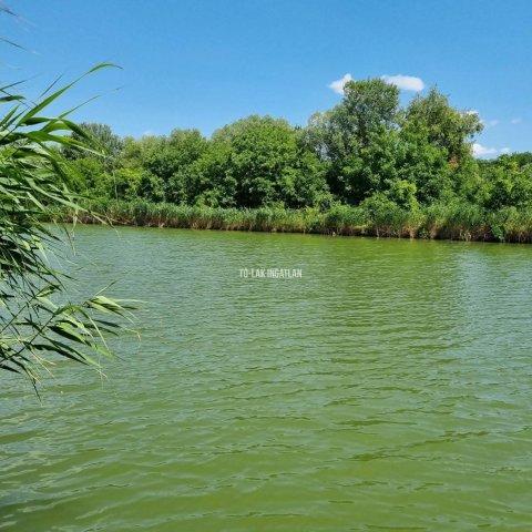 Eladó nyaraló, Gyomaendrődön 24.5 M Ft, 2 szobás