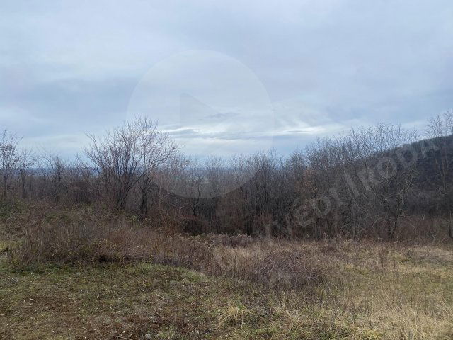 Eladó mezogazdasagi ingatlan, Szekszárdon 29.9 M Ft