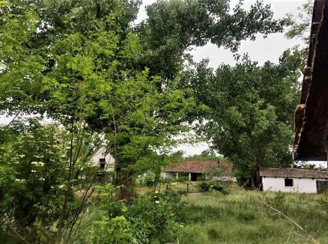 Eladó mezogazdasagi ingatlan, Sükösdön 16.9 M Ft