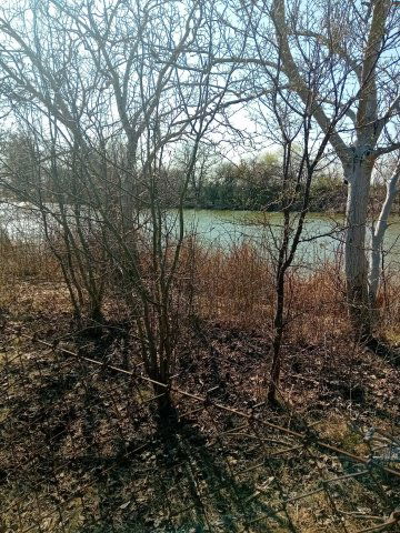 Eladó telek, Gyomaendrődön 14.5 M Ft / költözzbe.hu