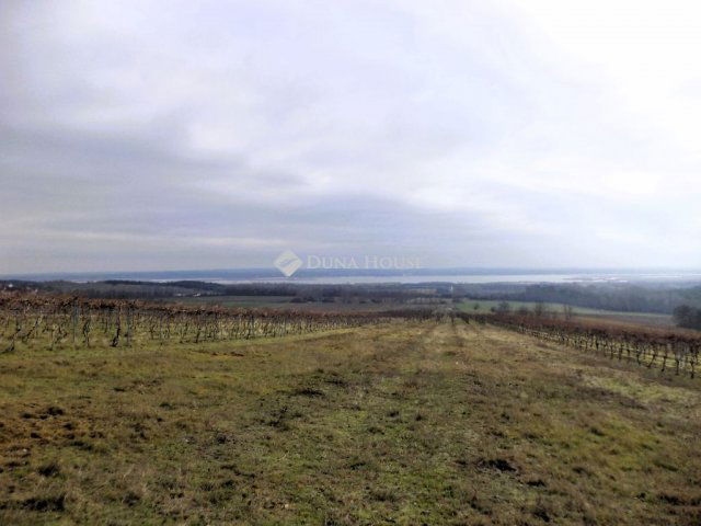 Eladó mezogazdasagi ingatlan, Sukorón 31.9 M Ft