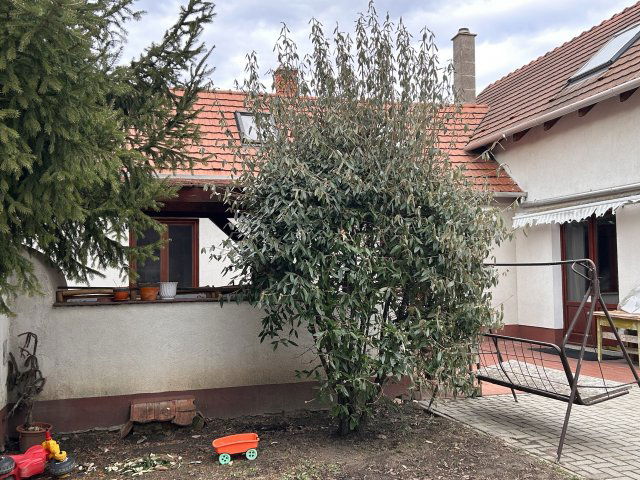 Eladó családi ház, Komáromban 69 M Ft, 7 szobás