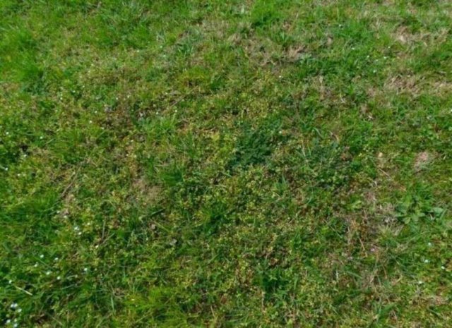 Eladó mezogazdasagi ingatlan, Ságváron 3.6 M Ft