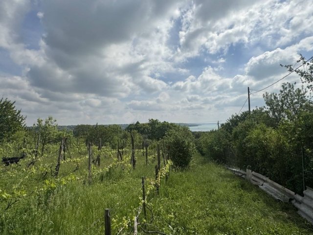 Eladó telek, Balatonalmádiban 48 M Ft / költözzbe.hu