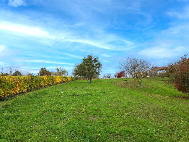 Eladó telek, Fehérvárcsurgón 11.9 M Ft / költözzbe.hu