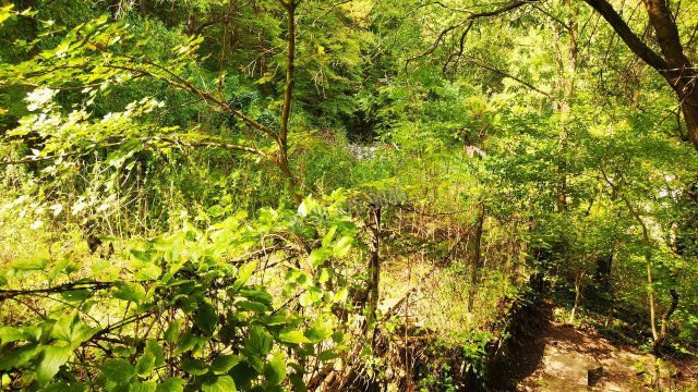 Eladó telek, Budapesten, II. kerületben 289 M Ft