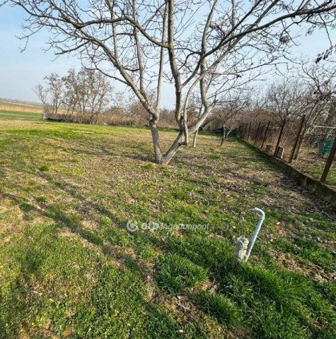 Eladó telek, Tiszaszőlősön 6 M Ft / költözzbe.hu