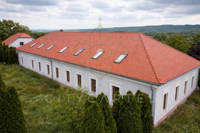 Eladó családi ház, Érsekvadkerten 299 M Ft, 12 szobás
