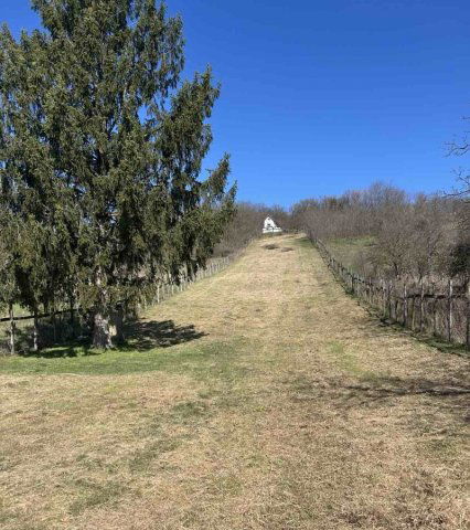 Eladó telek, Sümegen 8.9 M Ft / költözzbe.hu