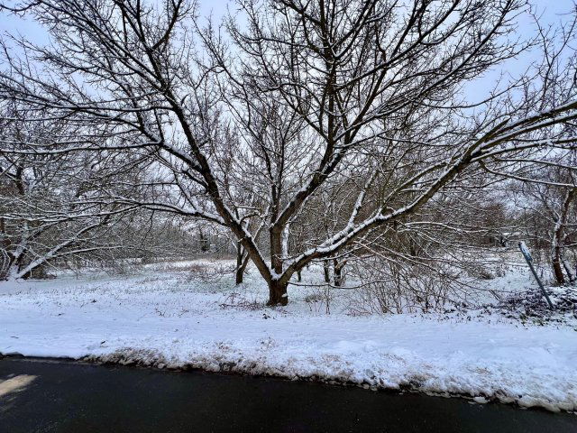 Eladó telek, Fóton 16 M Ft / költözzbe.hu