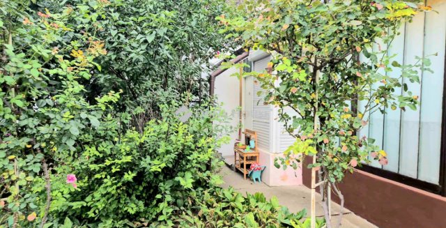 Eladó családi ház, Szegeden 38 M Ft, 1 szobás