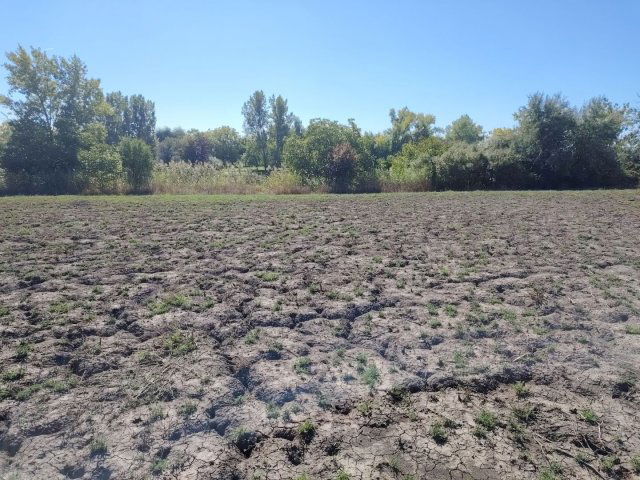 Eladó mezogazdasagi ingatlan, Öcsödön 7 M Ft