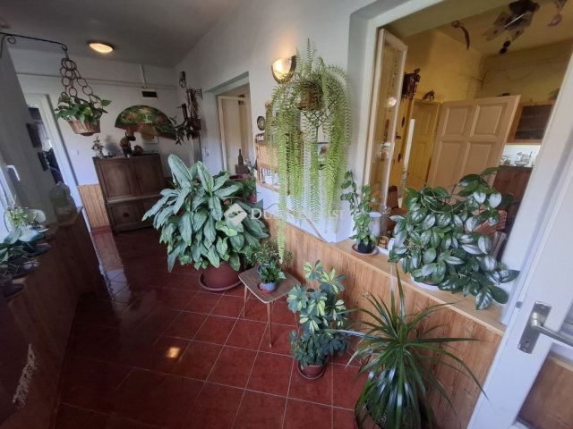 Eladó családi ház, Tiszaalpáron 31.9 M Ft, 3 szobás