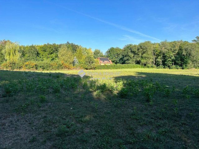 Eladó családi ház, Kecskeméten 650 M Ft, 11 szobás