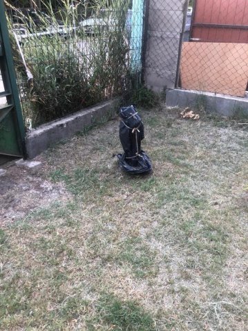 Eladó telek, Szigetszentmiklóson 18.99 M Ft / költözzbe.hu