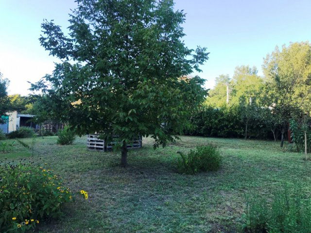 Eladó telek, Dunaharasztin 49.99 M Ft / költözzbe.hu