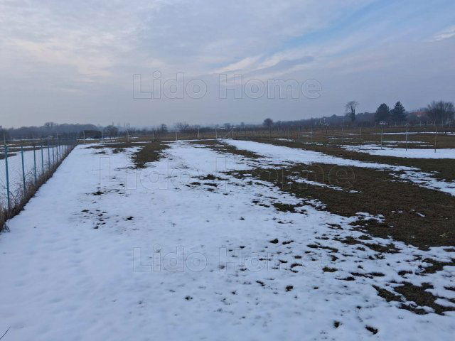 Eladó telek, Balatonakaliban 77.85 M Ft / költözzbe.hu