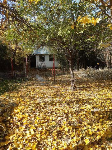 Eladó telek, Dömsödön 16.3 M Ft / költözzbe.hu