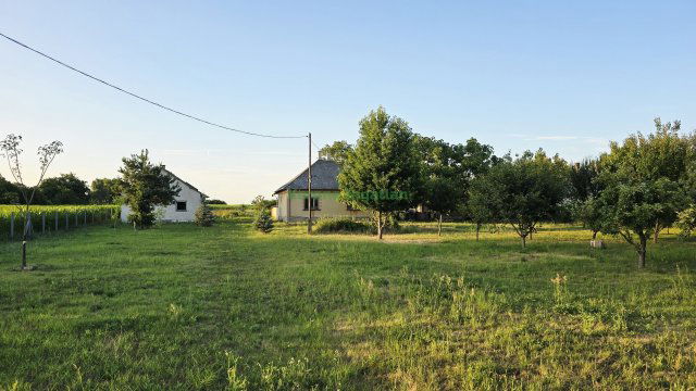 Eladó ipari ingatlan, Gávavencsellőn 109 M Ft