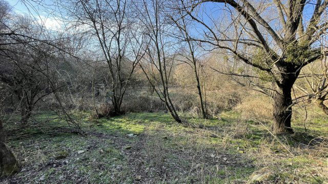 Eladó telek, Bajon 40 M Ft / költözzbe.hu