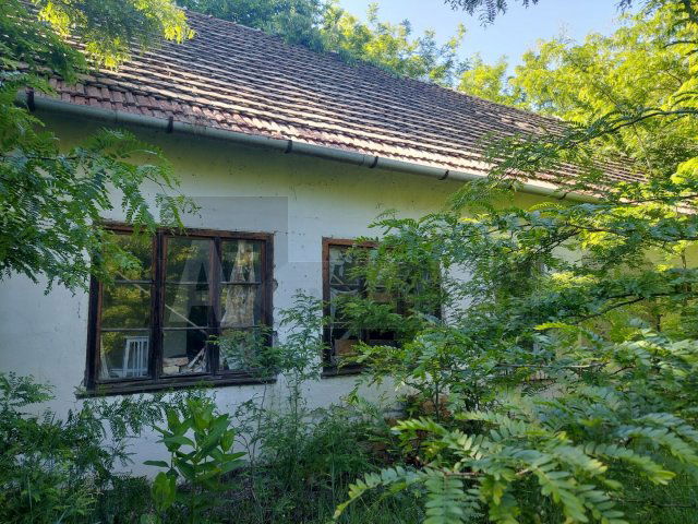 Eladó mezogazdasagi ingatlan, Kisteleken 12 M Ft