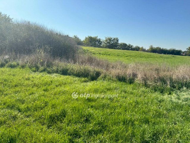 Eladó mezogazdasagi ingatlan, Kismarján 35 M Ft