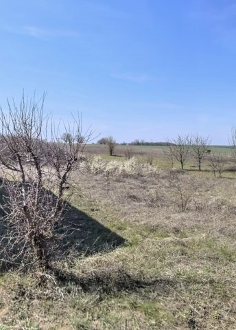 Eladó telek, Szarvasgedén 5.5 M Ft / költözzbe.hu