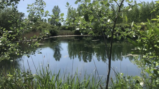 Eladó családi ház, Károlyházán 62 M Ft / költözzbe.hu