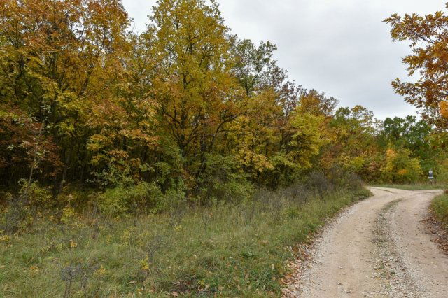 Eladó telek, Pécselyen 19.99 M Ft / költözzbe.hu