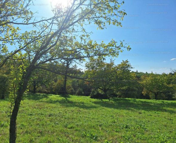 Eladó mezogazdasagi ingatlan, Nagygörbőn 9.8 M Ft