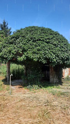 Eladó mezogazdasagi ingatlan, Sükösdön 7.5 M Ft