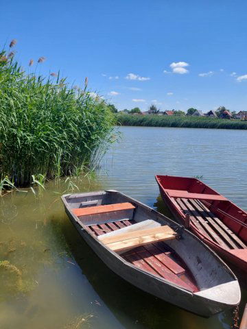 Eladó telek, Szigetszentmiklóson, Eperfa utcában 49.8 M Ft