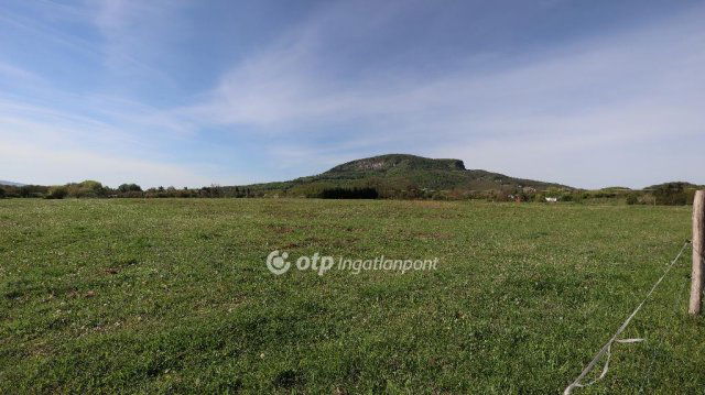 Eladó mezogazdasagi ingatlan, Badacsonytomajon 15.9 M Ft