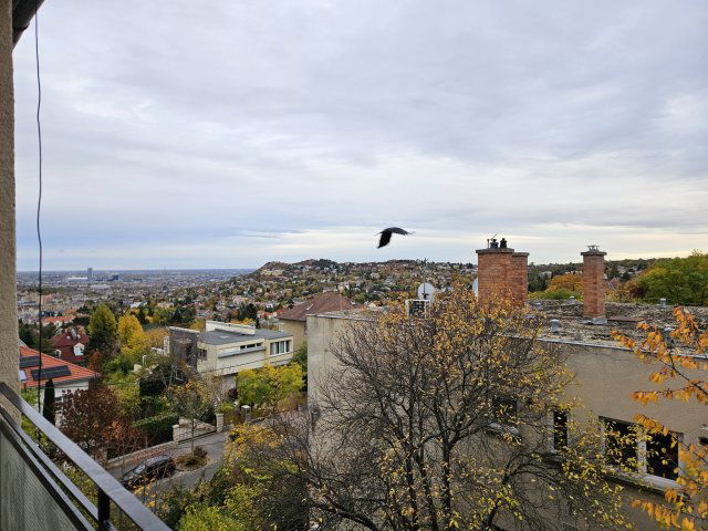 Kiadó téglalakás, albérlet, XII. kerületben, Fodor utcában