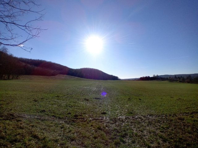 Eladó mezogazdasagi ingatlan, Kisbucsán 4 M Ft