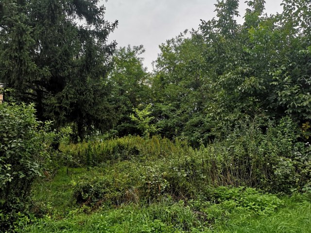 Eladó telek, Szápáron 12.9 M Ft / költözzbe.hu